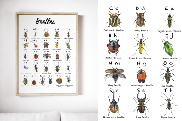 Beetle ABC Posters Review