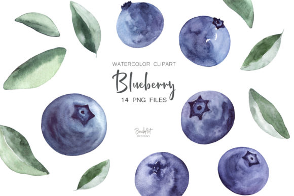 Blueberries Watercolor Clipart and Freebies