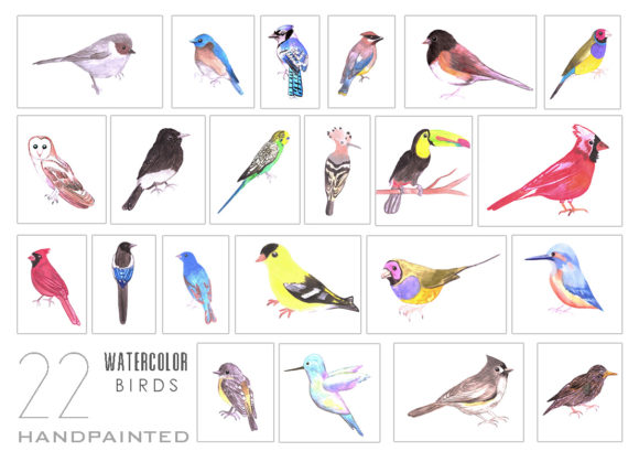 Hand Painted Watercolor Birds