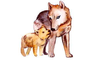 Mom and Baby Wolves in Watercolor Style