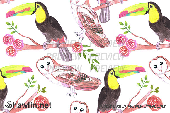Toucans Barn Owls and Flowers Patterns