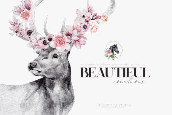 Watercolor Animal Portraits and Illustrations