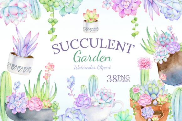 Watercolor Succulent Clipart Mix Match